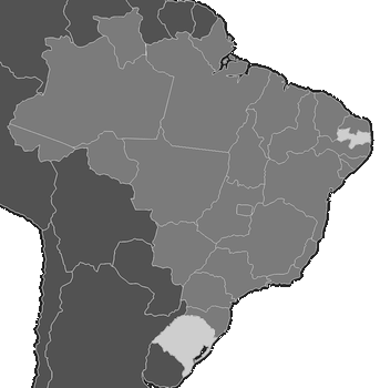 Brazil Agate