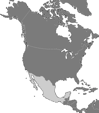 North America - Mexico
