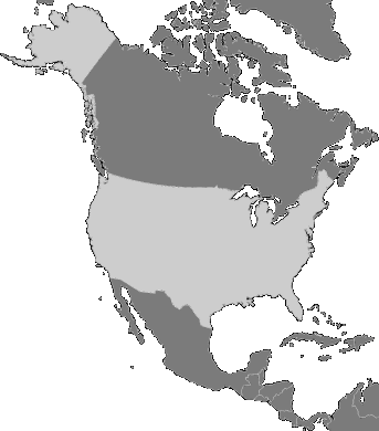 North America - USA